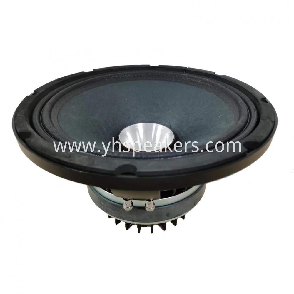 New Design 10 Inch Coaxial Audio Speaker